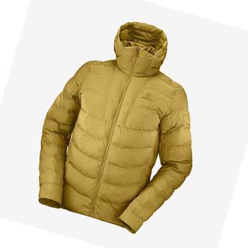 Salomon ESSENTIAL XWARM INSULATED Erkek Ceket Sarı | TR 3313JPQ